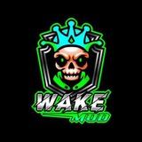 WAKE 反馈处理