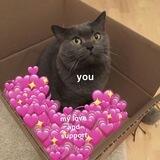 Quad`s mutual