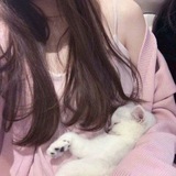 miaw, wtb