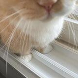 d.