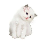 .. ིྀ ׄella – 🫐•’