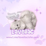 Laveilac