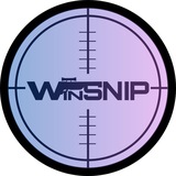 Winsnip Check Bot