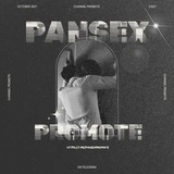 ASISTEN PANSEX