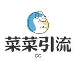 菜菜双向机器人