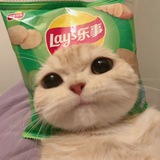 deleepp :]