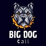 BigDoG_CaLLz Gemz ! 🐶
