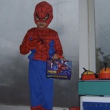 Spiders