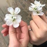 Little Flower