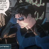 nightwing's gf