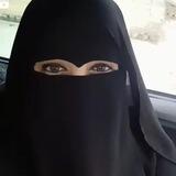 گرگ تنها