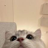 A.