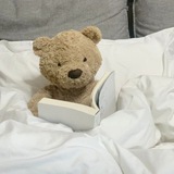 teddy buy!