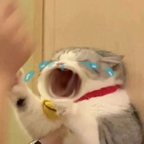 @makhhluk's assist