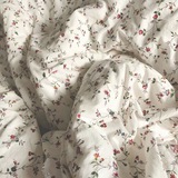 amelieur 💐