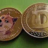 Doge Auto pay
