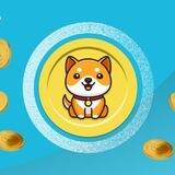 BABYDOGE OSR BOT