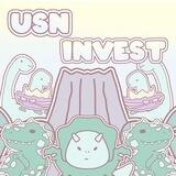usnvest galeri.