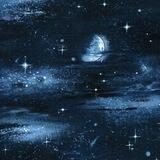 Astronomy Lover
