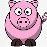 Pigpink Star