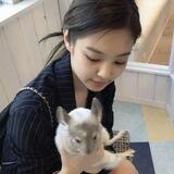 Bichie's Caretaker
