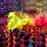 Holi Special Bot 🤑