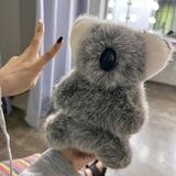 ㅤㅤㅤ유토니; ngochan! 𑁥౿