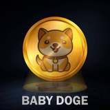 BABYDOGE GIVEAWAY BOT