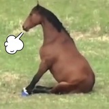 投稿机器人