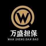 万盛开车机器人