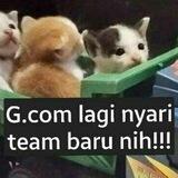 HIRMIN GCOM