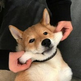 逸Robot更新频道