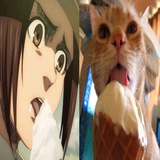 sasa aot (asli)
