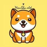 Babydoge Auto-pay Bot