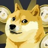 Doge coin bot