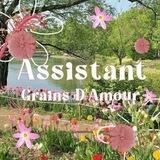 GRAMOUR OFFICE
