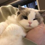 hi!