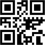 QR Bot