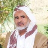 بوت فتاوى الزيدية