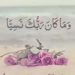 Aboody333