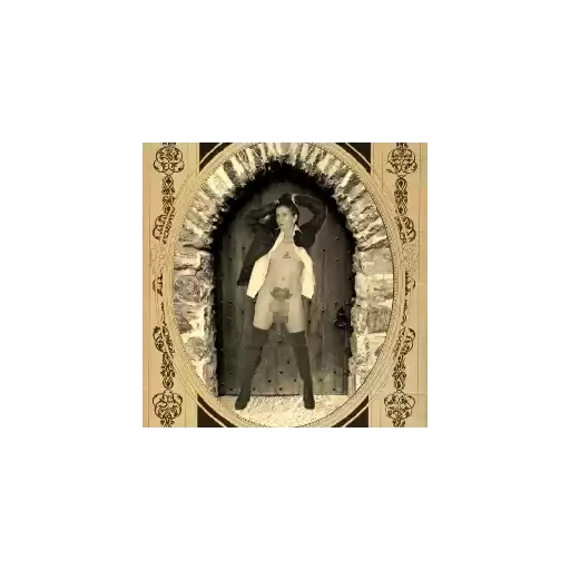 Adult4