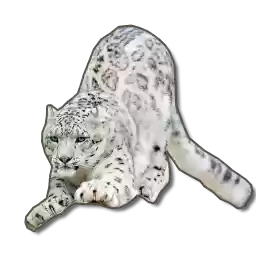 AltaiIrbis