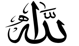 Amoon555