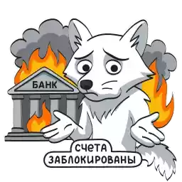 Arctic_fox_Turov