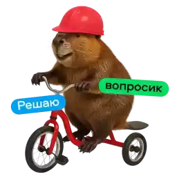Avito_beavers