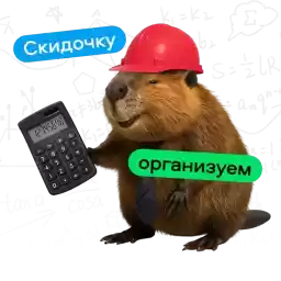 Avito_beavers