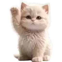 Baby_Kitten_Nyasticks