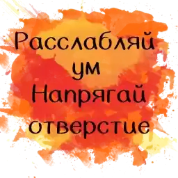 Baracholka