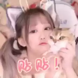 Bilisticker_1732602344001_by_Enlysure_sticker_bot