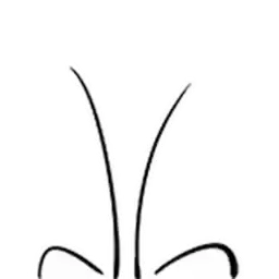 Bilisticker_1749621385001_by_Enlysure_sticker_bot